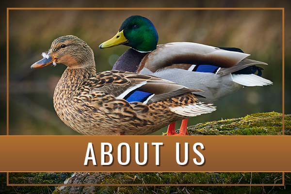 About Us About Sportsman’s Studios